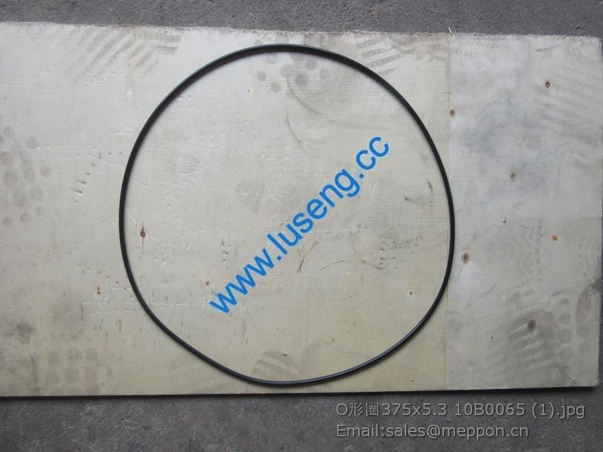 10B0065 O-RING XGMA 375x5.3