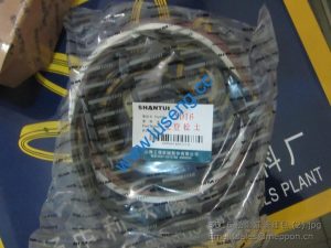 SHANTUI SD16 RIPPER CYLINDER REPAIR KITS