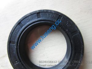 SG38X58X12 OIL SEAL 13B0031