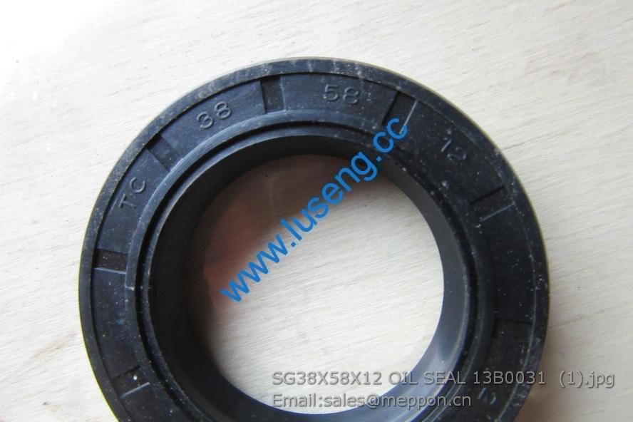 SG38X58X12 OIL SEAL 13B0031