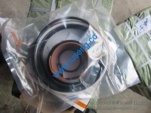 SP102903 lift cylinder kits liugong