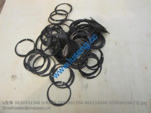 0630531346 V-RING 7200001554 860116280