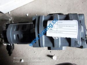 W064000000 CBGJ2080/1010 SAM857 GEAR PUMP