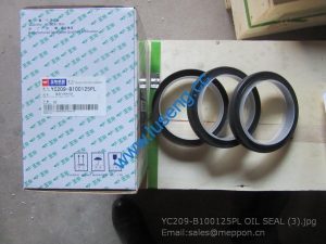 YC209-B100125PL OIL SEAL yuchai 4110000560341 SP106201 860118395