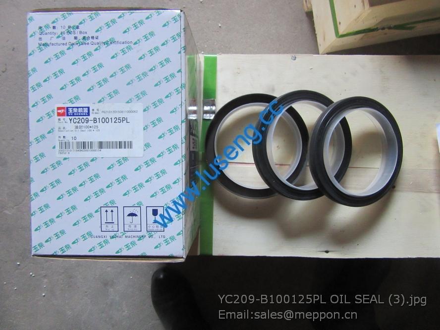 YC209-B100125PL OIL SEAL yuchai 4110000560341 SP106201 860118395