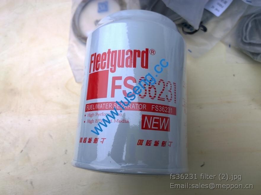 FS36231 filter 800151162 53C0576 XCMG XE370CA EXCAVATOR PARTS