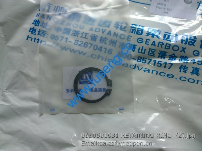 0630 501 031 RETAINING RING advance wg180