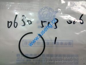 0630 513 016 SNAP RING 4110000367025 SP100046