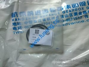 0634 313 536 o-ring hangchi advance parts