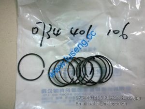 0734 401 106 PISTON RING 4110000076258 4110000076050 SP100224