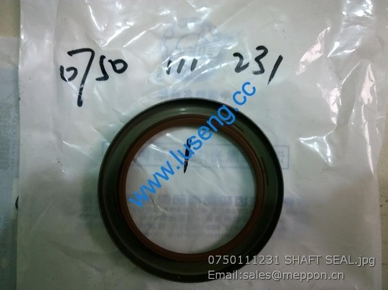 0750 111 231 SHAFT SEAL 4110000076367 SP100246