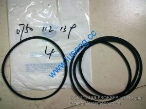 0750 112 139 PROF.SEAL RING 4110000367105 7200001590