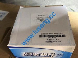 13070648 PISTON RING 4110000587018