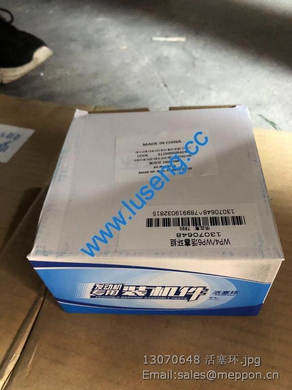 13070648 PISTON RING 4110000587018