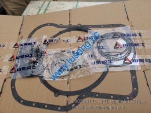 2905001131001 repair kit SDLG LG936L