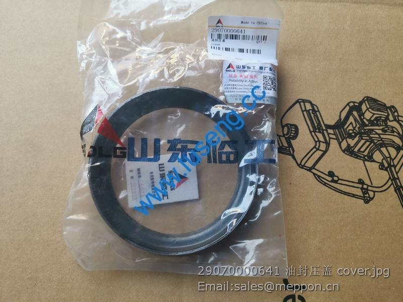 29070000641 SDLG cover