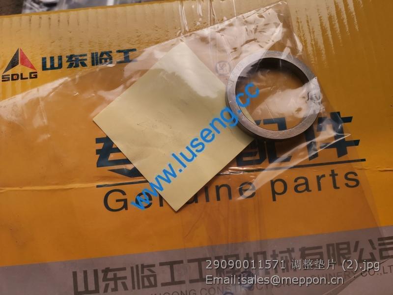 29090011571 SHIM SDLG