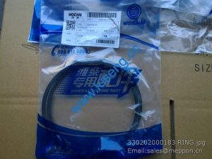 330202000183 RING BAUDOUIN