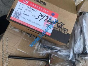 3920868 VALVE EXHAUST 4994143 SP109547 4110000555120 860109658 W010210140