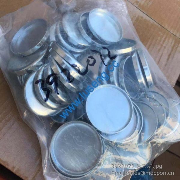 3922072 4110000081350 EXPANSION PLUG