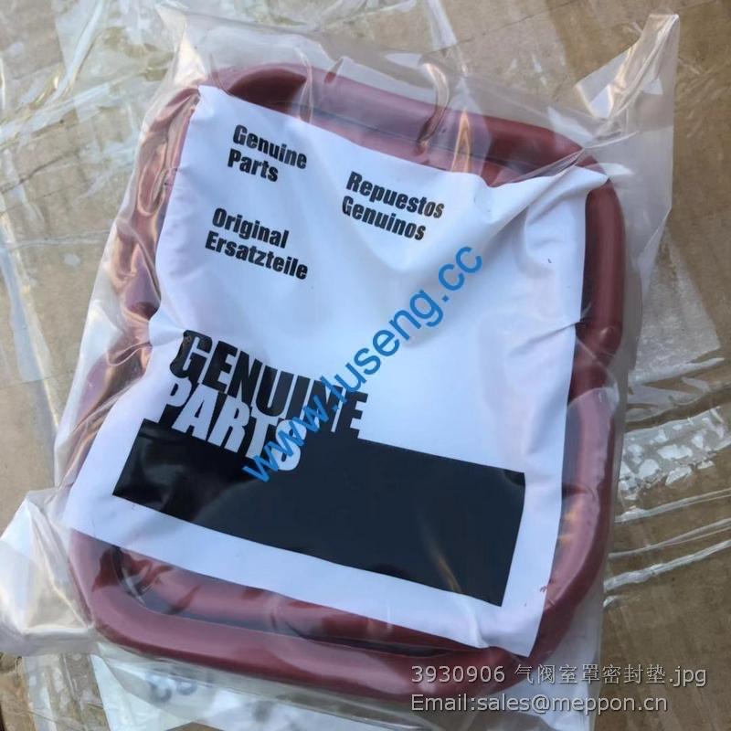 3930906 Valve Cover Gasket 4110000555139 SP109565 W010210050 860118934