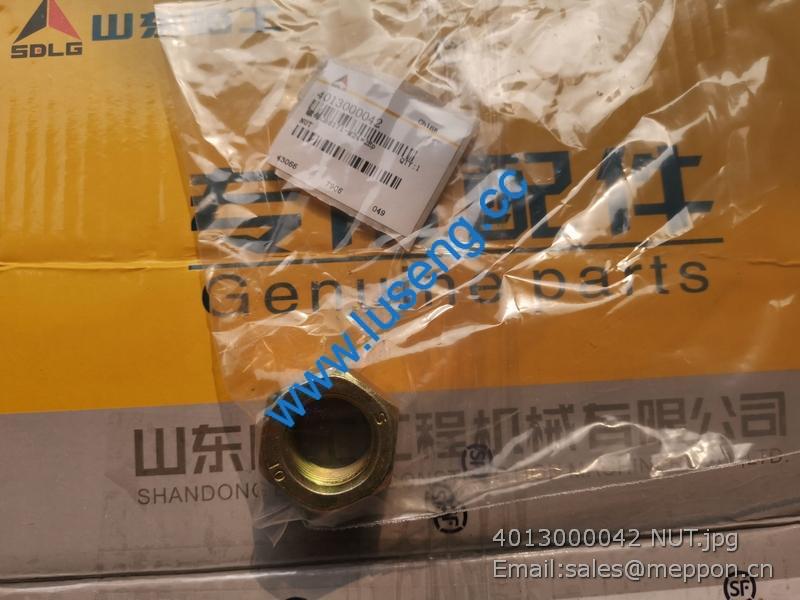 4013000042 NUT SDLG