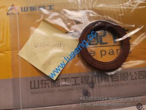 4030000854 sealing ring SDLG