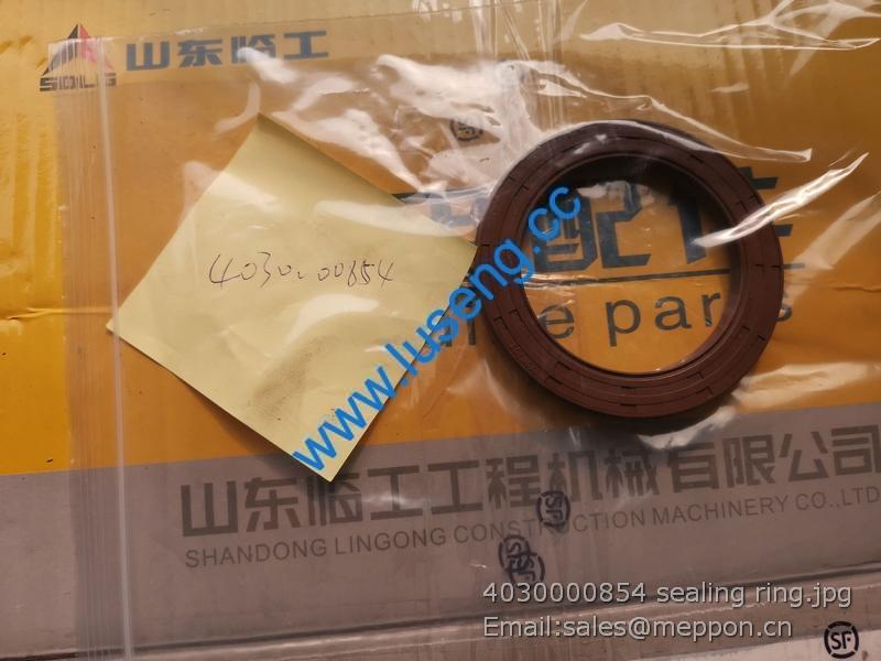 4030000854 sealing ring SDLG