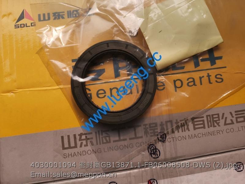 4030001094 SEAL RING SDLG GB13871.1-FB06008508-DWS