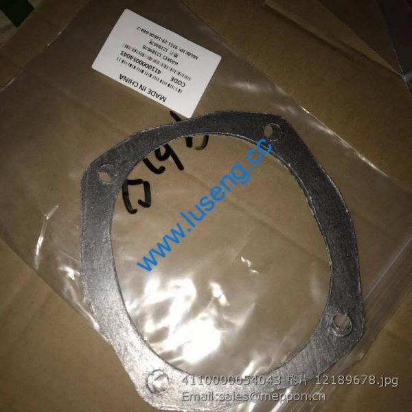 4110000054043 GASKET 12189678 SP106247
