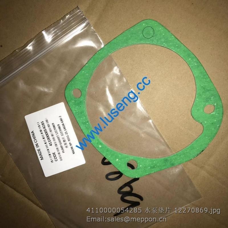 4110000054285 GASKET 12270869 SP105132