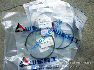 4110000184014 sealing ring SDLG PARTS