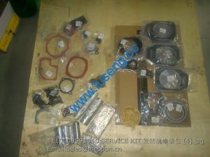 4110000991040 SERVICE KIT SDLG WHEEL LOADER PARTS