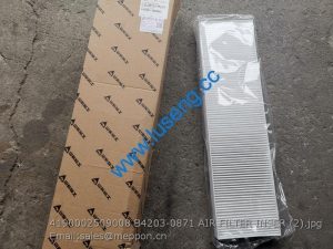 4190002509008 B4203-0871 AIR FILTER INSER SDLG