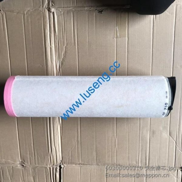 60300000310 lonking air filter