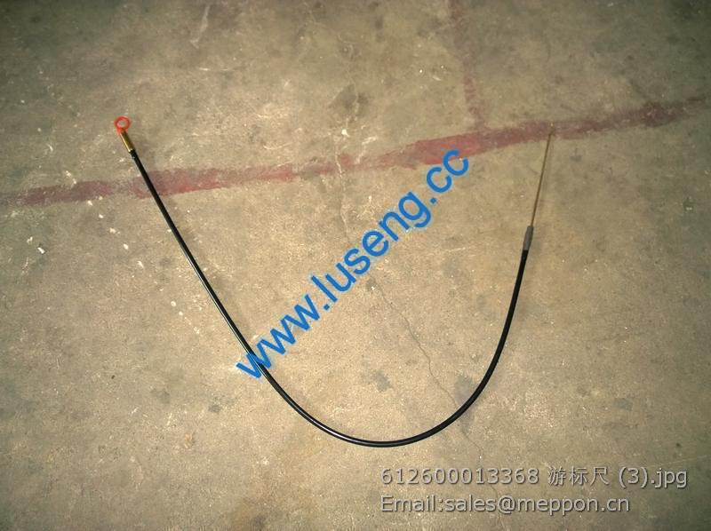 612600013368 Dipstick Assembly WEICHAI