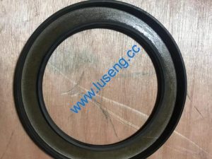 B-G09877A-00013 changlin wheel loader oil seal