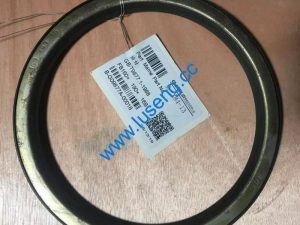 B-G09877A-00018 oil seal for SINOMACH SPARE PARTS