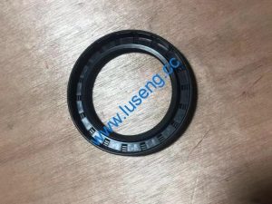 B-G09877A-00030 OIL SEAL CHANGLIN SINOMACH