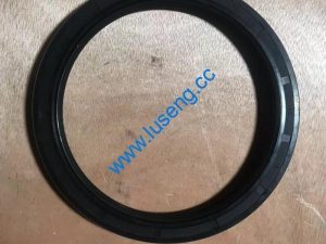 B-G09877A-00041 changlin oil seal