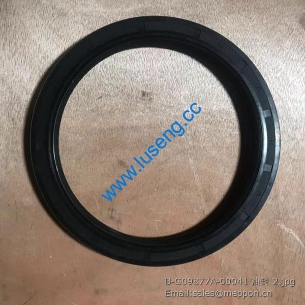 B-G09877A-00041 changlin oil seal