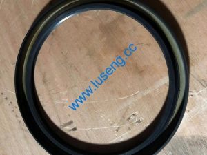 B-G09877A-00048 sinomach machinery oil seal