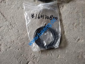 B160130800 o-ring sem