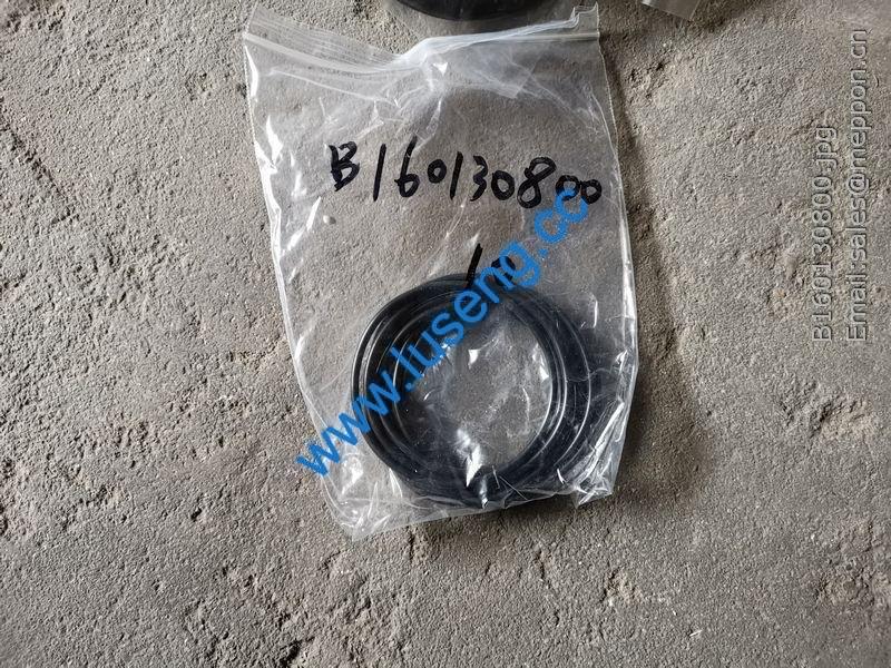 B160130800 o-ring sem