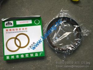 B160210010 SEM WHEEL LOADER OIL SEAL