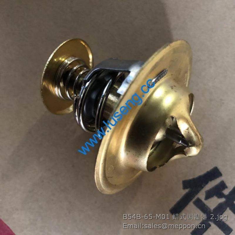 B54B-65-M01 240100084109 thermostat yto parts for lonking CDM816D