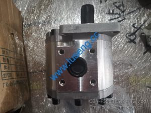CBN-F550B GEAR PUMP xcmg