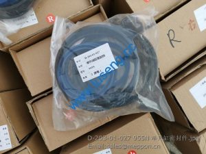 D-203-01-027 955N LIFT CYLINDER KITS CHANGLIN