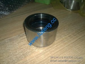 SP134119 PISTON LIUGONG FY10754L.00004