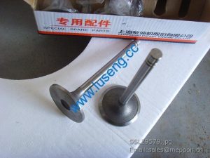 6N9915 Intake valve XG955II 4110000186106 SP101599 W014200351 4190000536067
